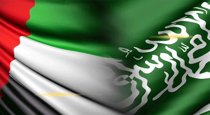 الإمارات تؤكد تضامنها مع السعودية في موقفها تجاه ما صدر مؤخراً من مجلس الشيوخ الأمريكي