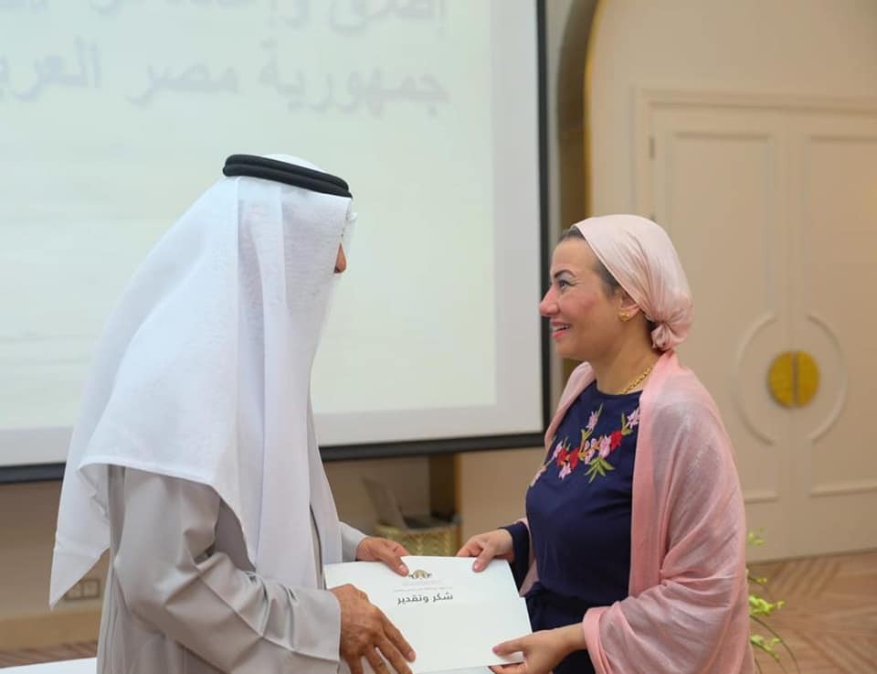 المسؤولان المصري والإماراتي