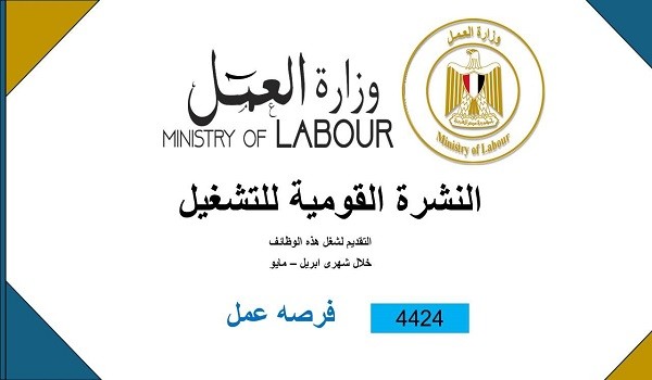 وظائف مصر