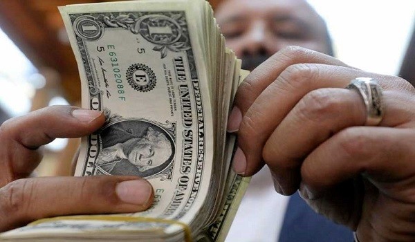 تحويلات المصـريين