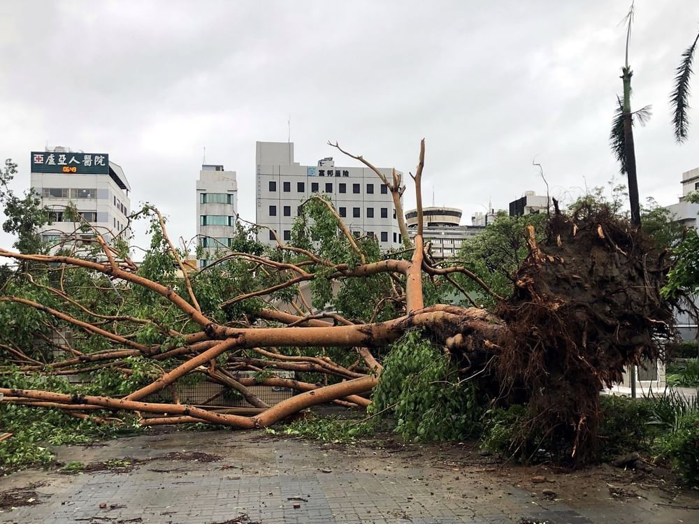 Typhoon Danas