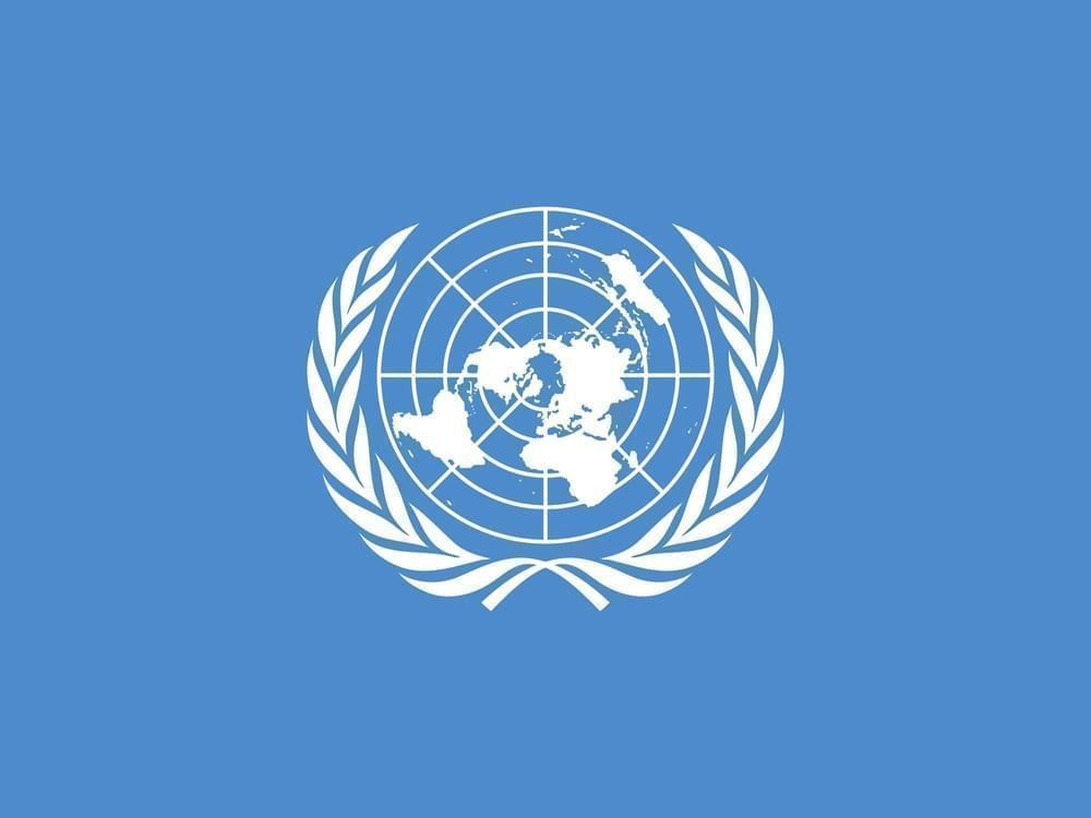 The United Nations 