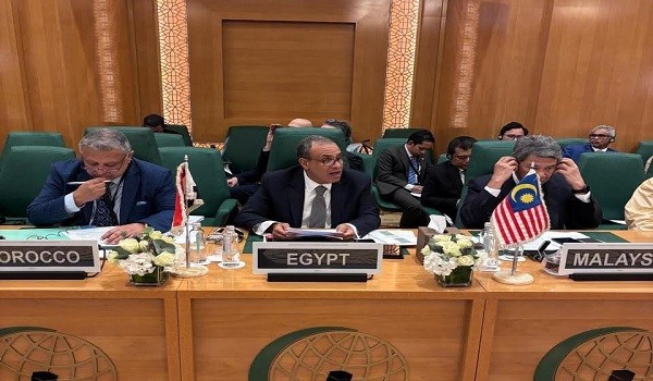 وزير الخارجية المصري