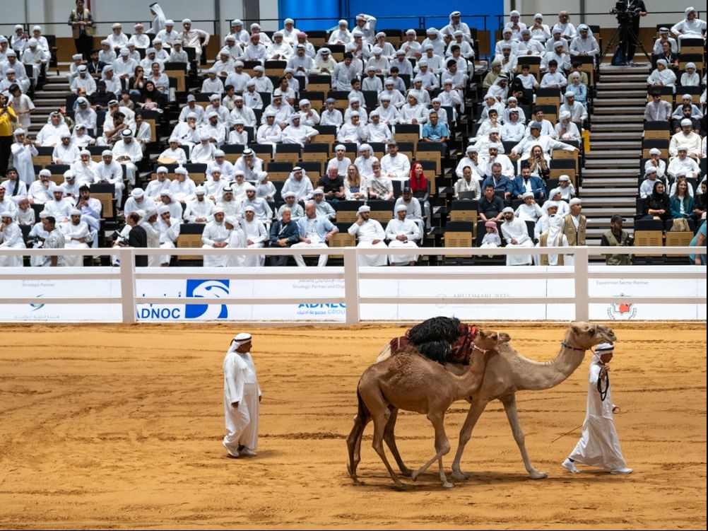 Abu Dhabi International Hunting and Equestrian Exhibition