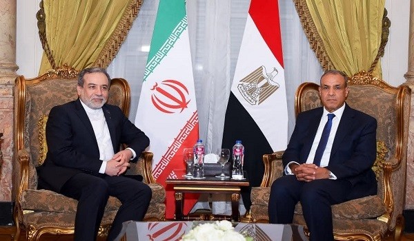 وزيرا الخارجية المصري والإيراني