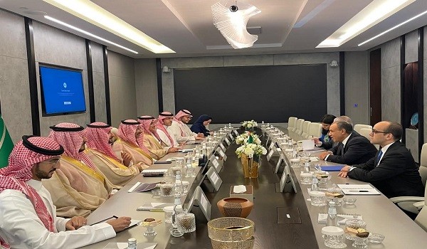 لقاء وزير الخارجية المصري ووزير الصناعة السعودي