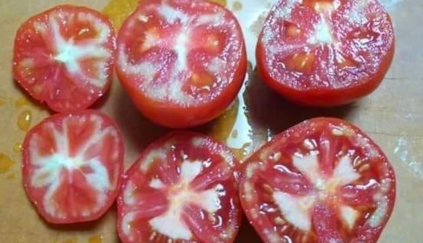 طماطم بيضاء