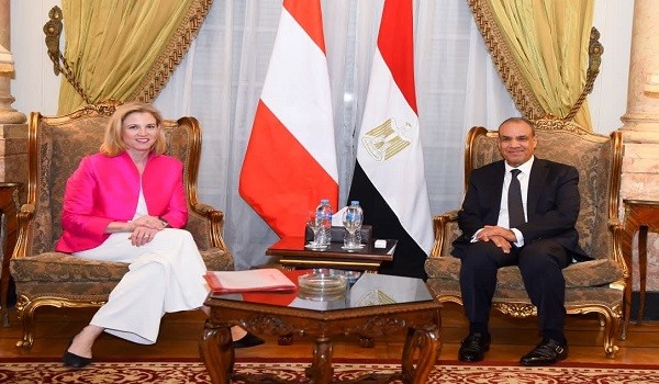 وزيرا الخارجية المصري والنمساوي
