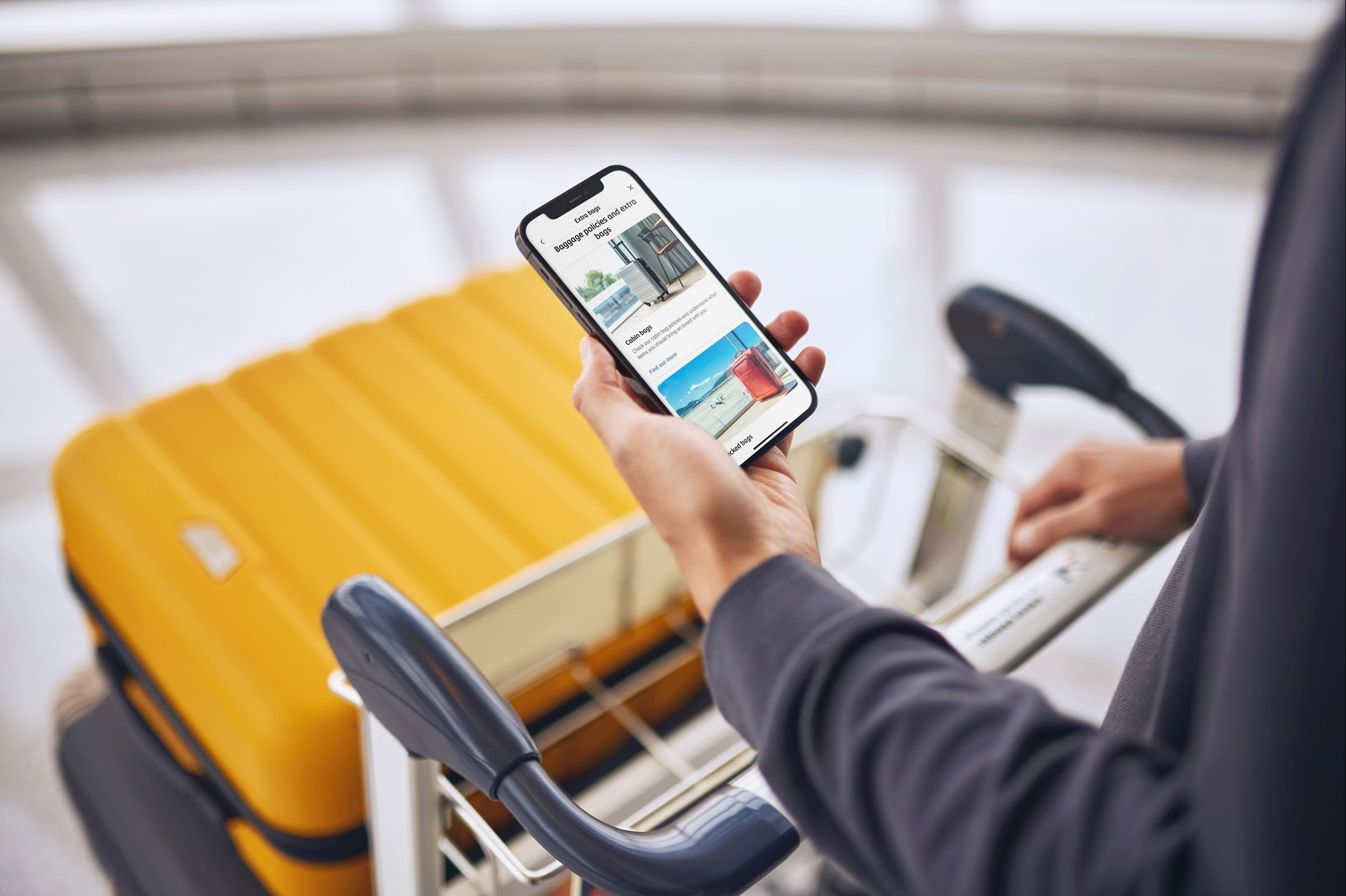 الاتحاد للطيران