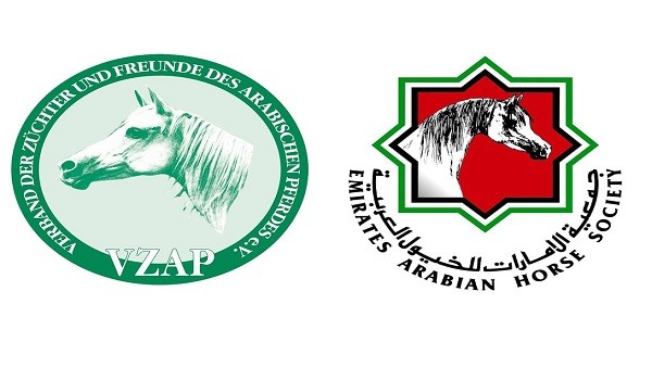 جمعية الأمارات للخيول العربية