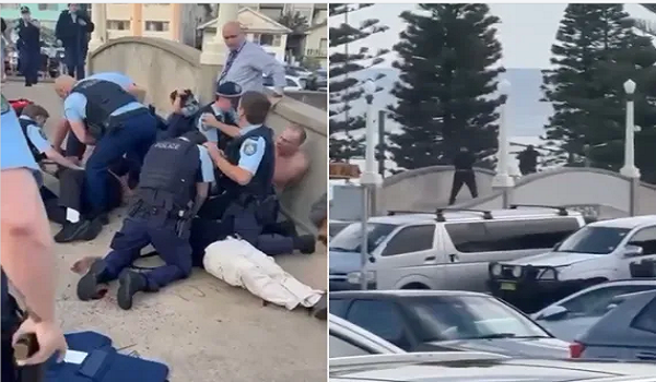 مواقع التواصل