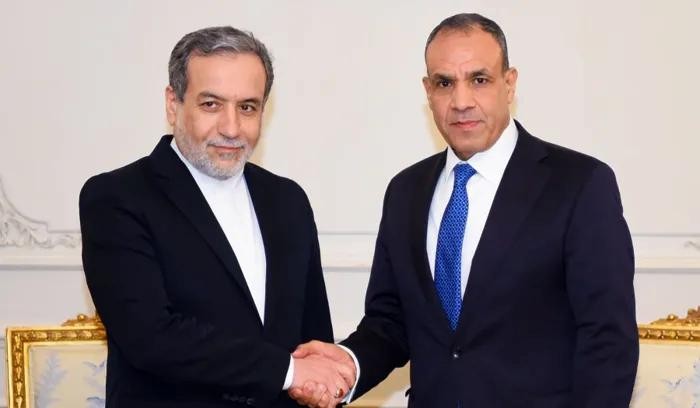 وزير الخارجية المصري ونظيره الإيراني