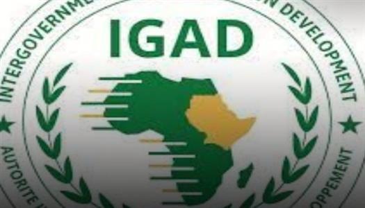 الهيئة الحكومية للتنمية في شرق أفريقيا «إيجاد»