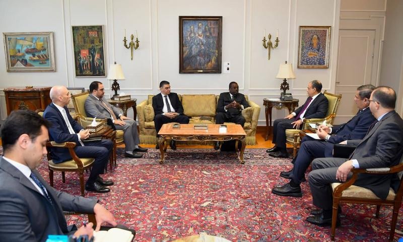وزير الخارجية المصري خلال اللقاء