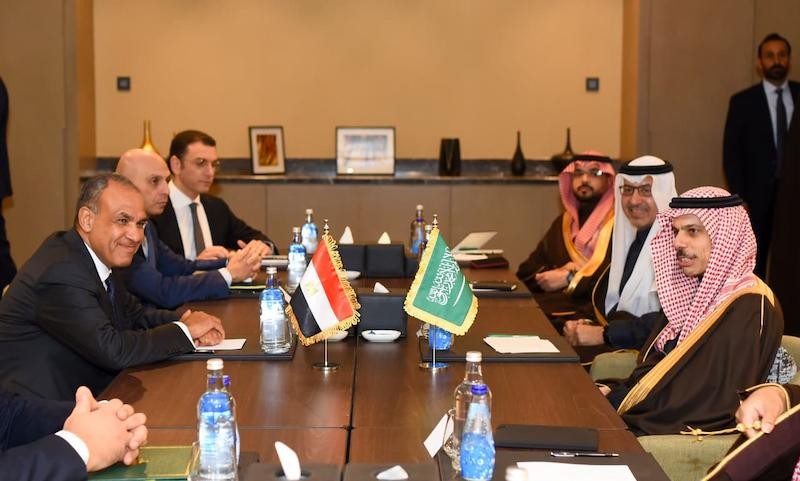 وزير الخارجية المصري ونظيره السعودي