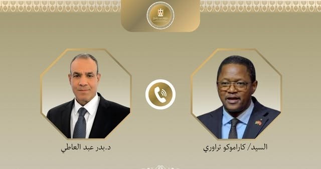 وزير الخارجية المصري ونظيره البوركيني