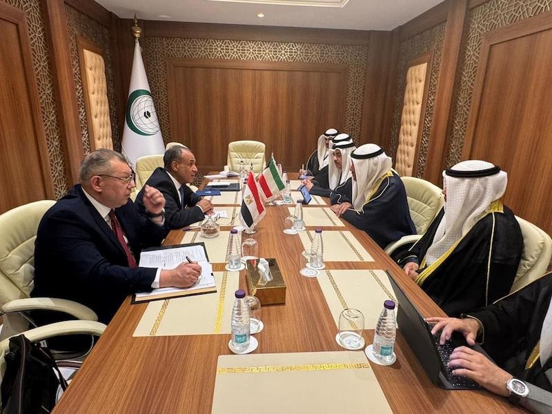 لقاء وزير الخارجية المصري ونظيره الكويتي