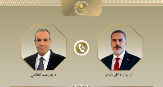 وزير الخارجية المصري ونظيره التركي