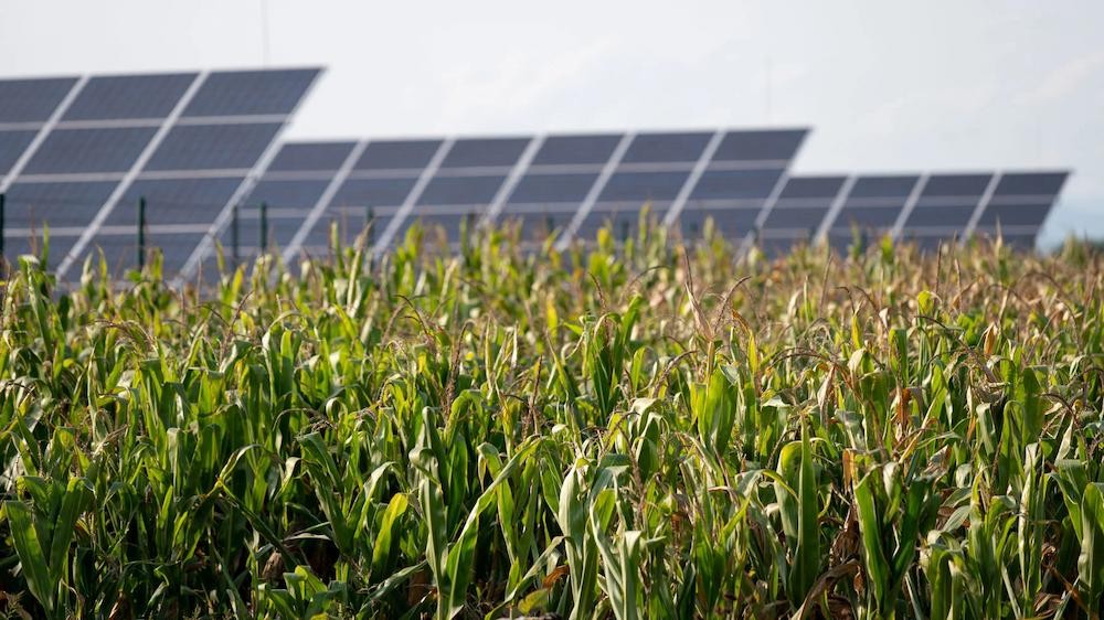 مشروع للطاقة الشمسية الكهروضوئية الزراعية 