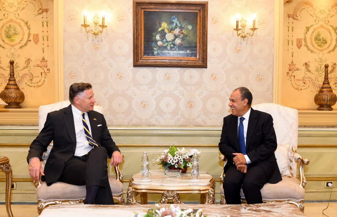 وزير الخارجية المصري ونائب وزير الخارجية الامريكي