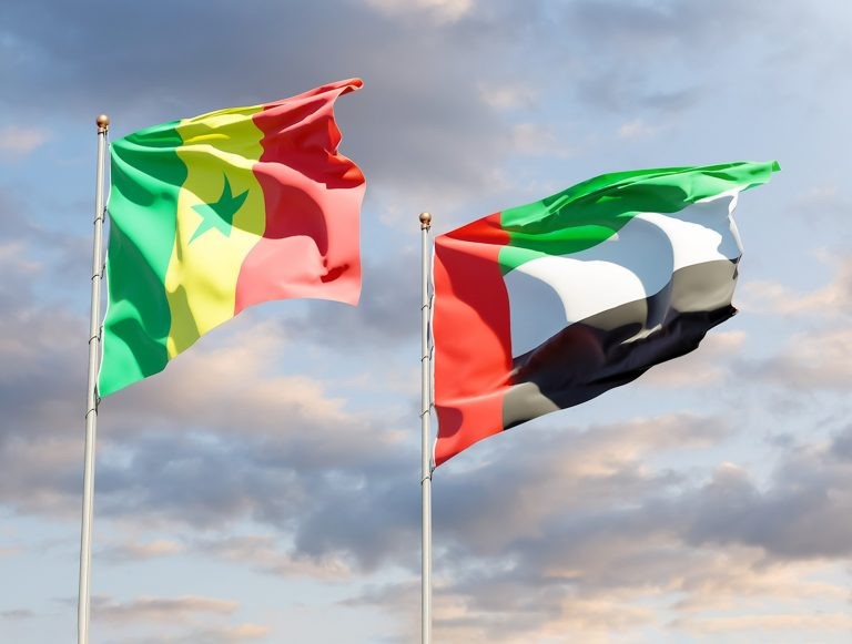 الإمارات والسنغال