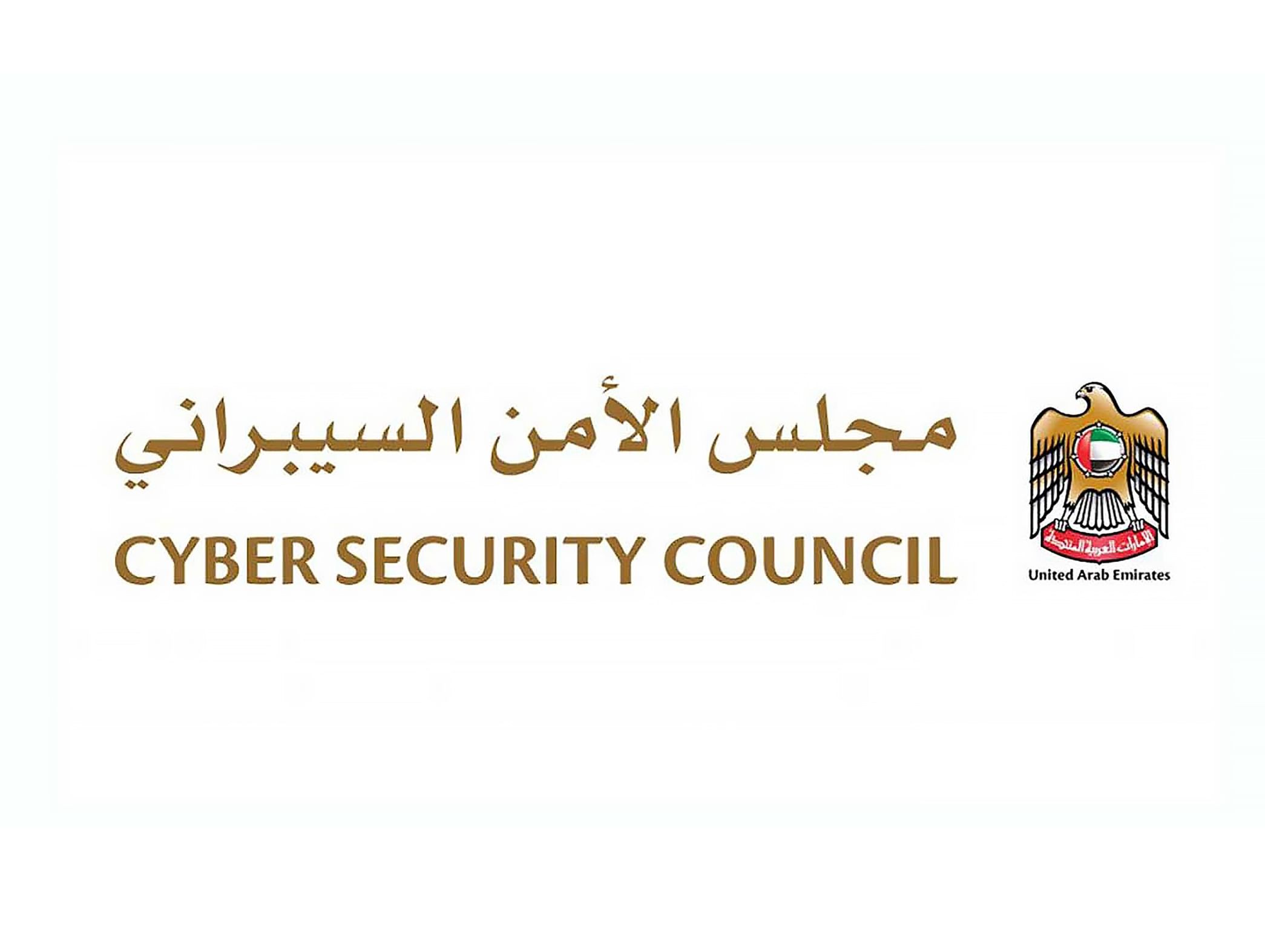 Cyber Security Council