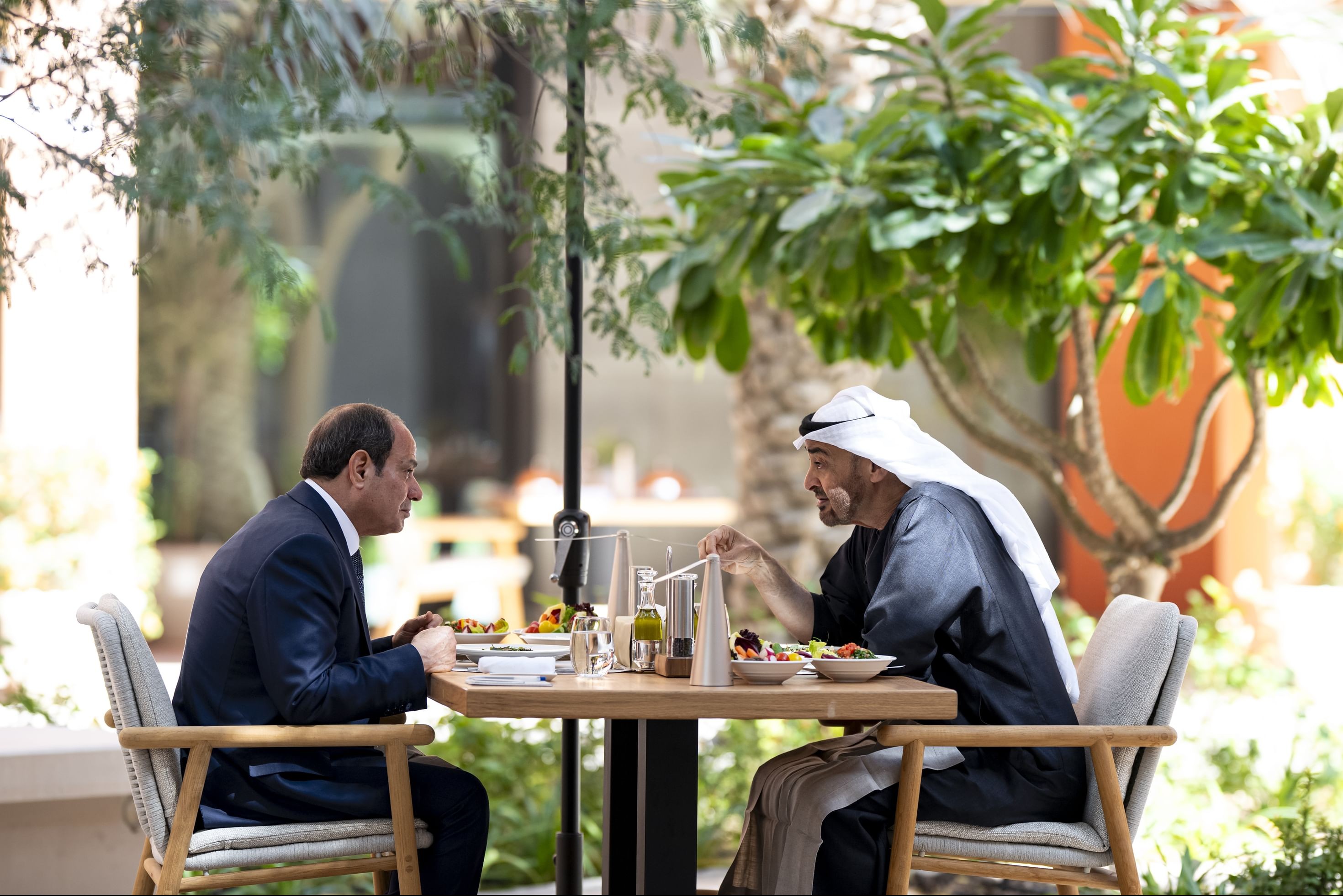   Abdel Fattah El-Sisi Sheikh Mohamed bin Zayed Al Nahyan