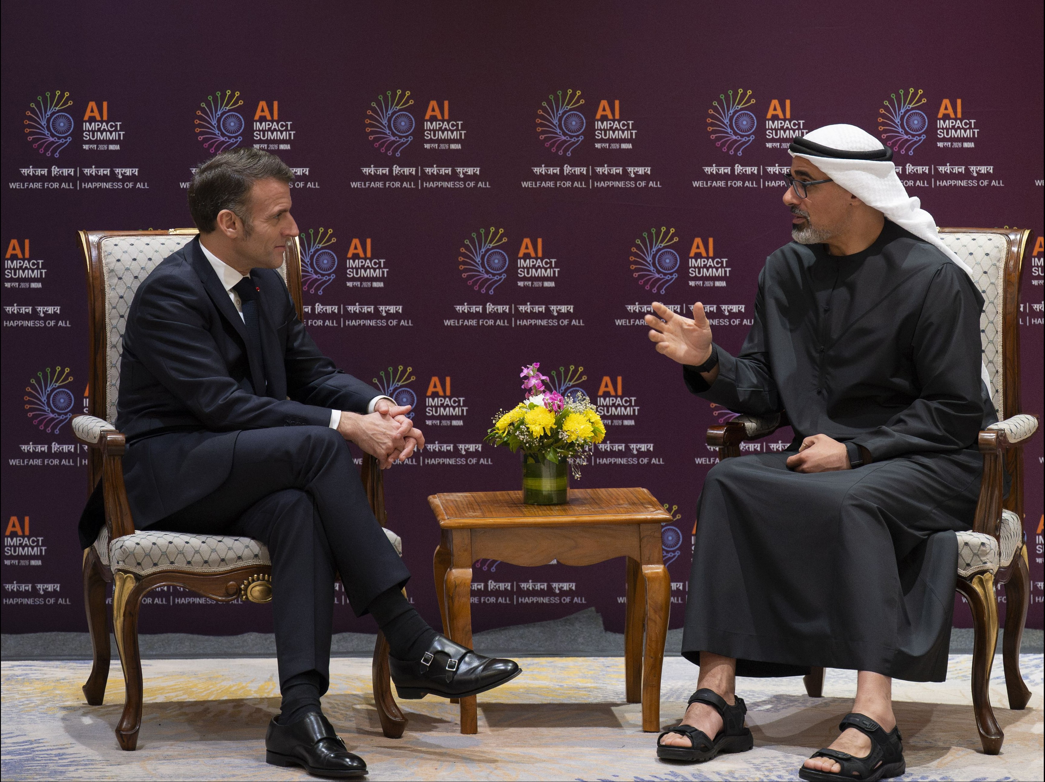 ولي عهد أبوظبي والرئيس الفرنسي