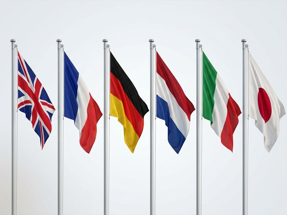 أعلام الدول الست