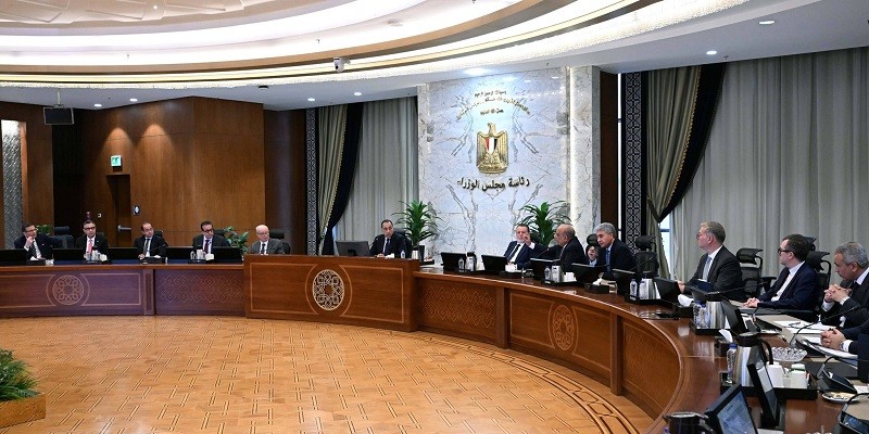 لجنة الأزمات المصرية