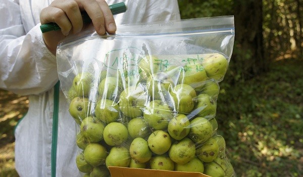 محاصيل زراعية