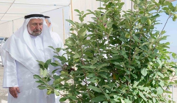 حاكم الشارقة