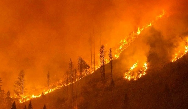 حرائق غابات النمسا