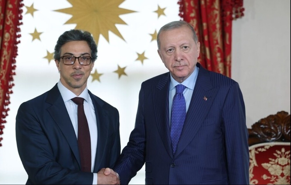 رجيب طيب أردوغان والشيخ منصور بن زايد