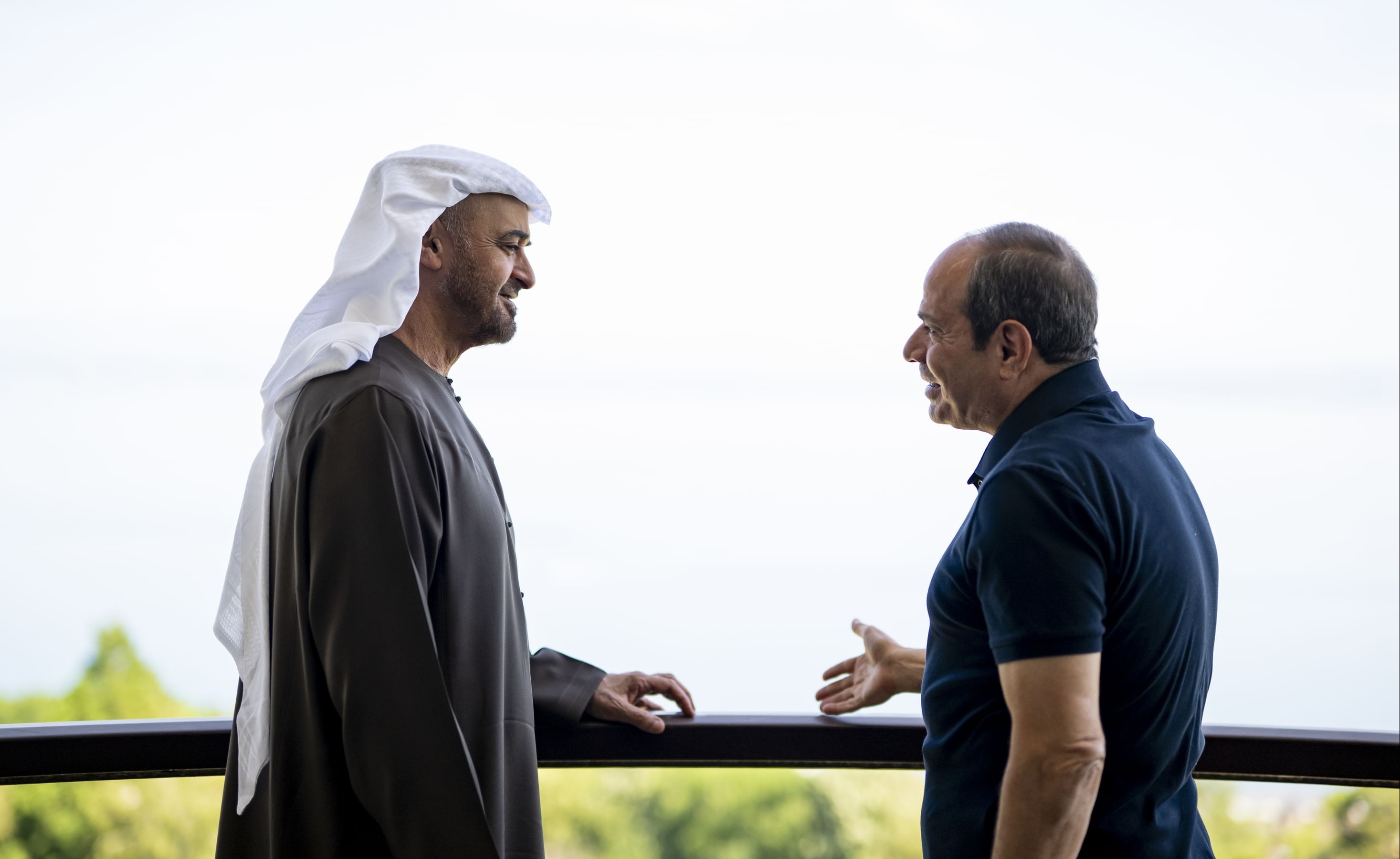 الرئيس السيسي والشيخ محمد بن زايد