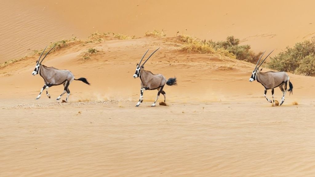 صورة تعبيرية