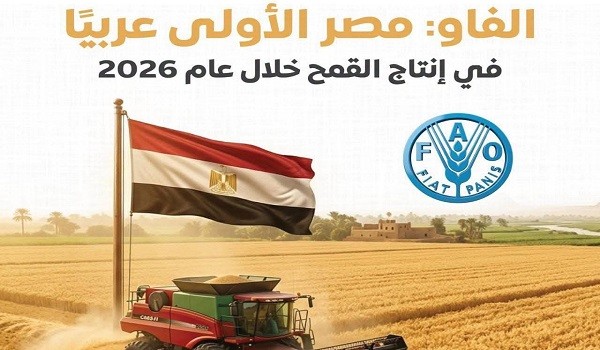 الفاو