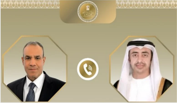 وزيرا خارجية مصر والإمارات