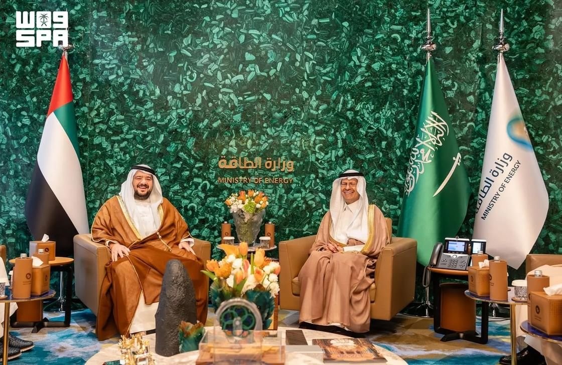 الوزيران السعودي والإماراتي
