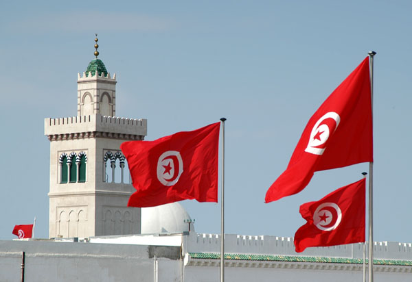 11.7 % زيادة بالاستثمارات الأجنبية فى تونس