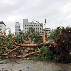 Typhoon Danas