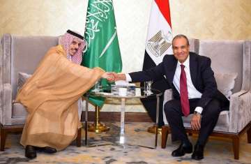 وزيرا الخارجية المصري والسعودي
