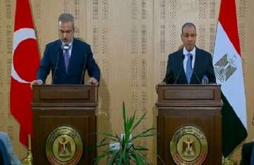 وزيرا الخارجية المصري والتركي
