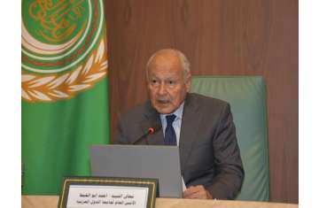 أحمد أبو الغيط