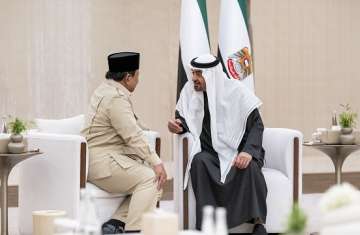 الرئيسان الإماراتي والإندونيسي