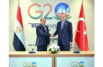 أردوغان والسيسي