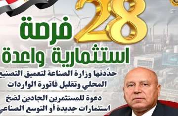الصناعة المصرية