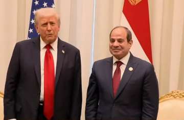 الرئيس السيسي ودونالد ترامب