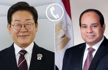 السيسي ونظيره الكوري