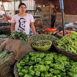 الخضراوات المصرية